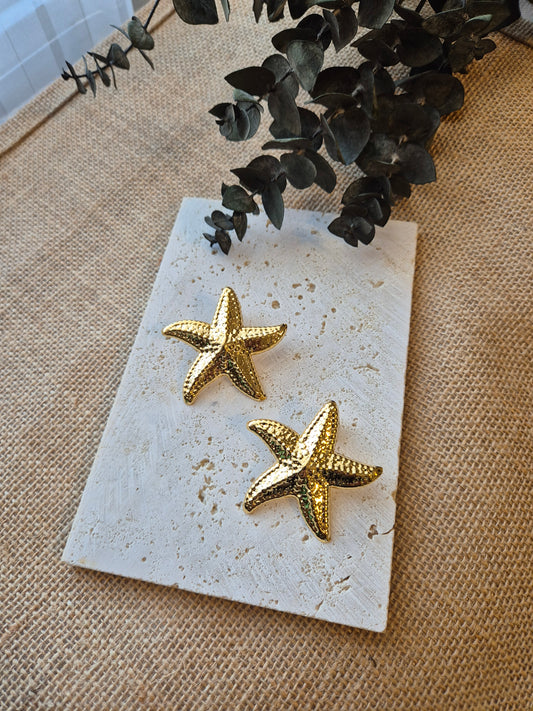 Aretes Estrella
